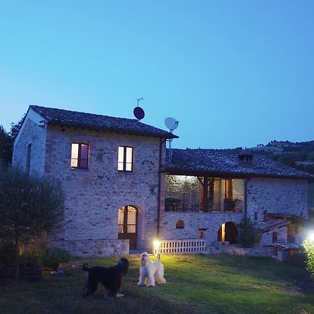 La Pietra Rara B&B Montone  Extérieur photo