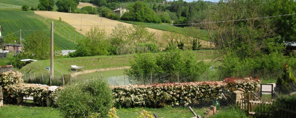 La Pietra Rara B&B Montone  Extérieur photo
