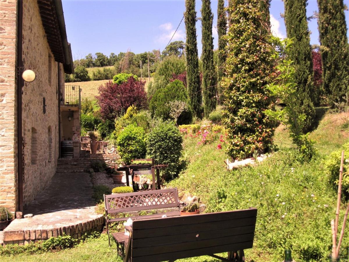 La Pietra Rara B&B Montone  Extérieur photo