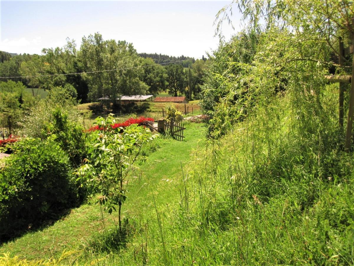 La Pietra Rara B&B Montone  Extérieur photo