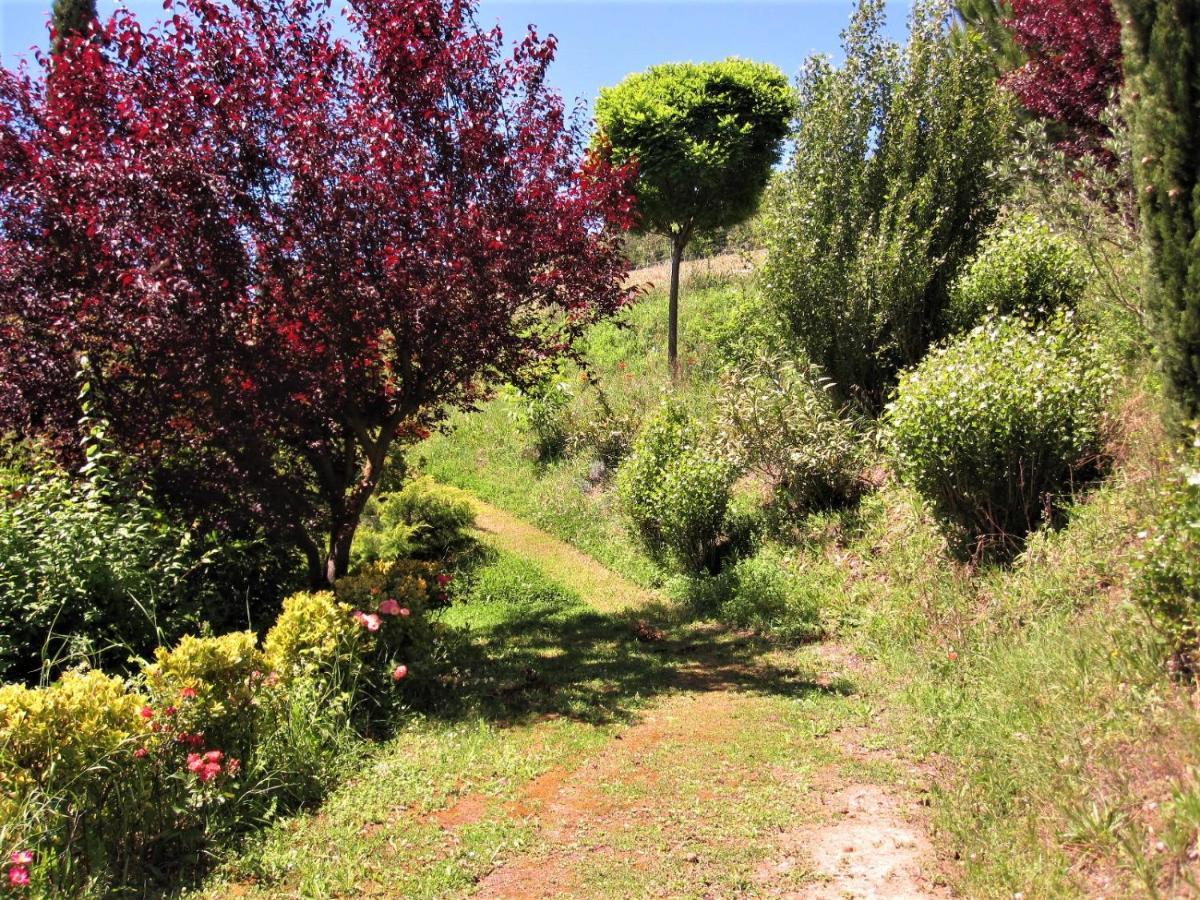 La Pietra Rara B&B Montone  Extérieur photo