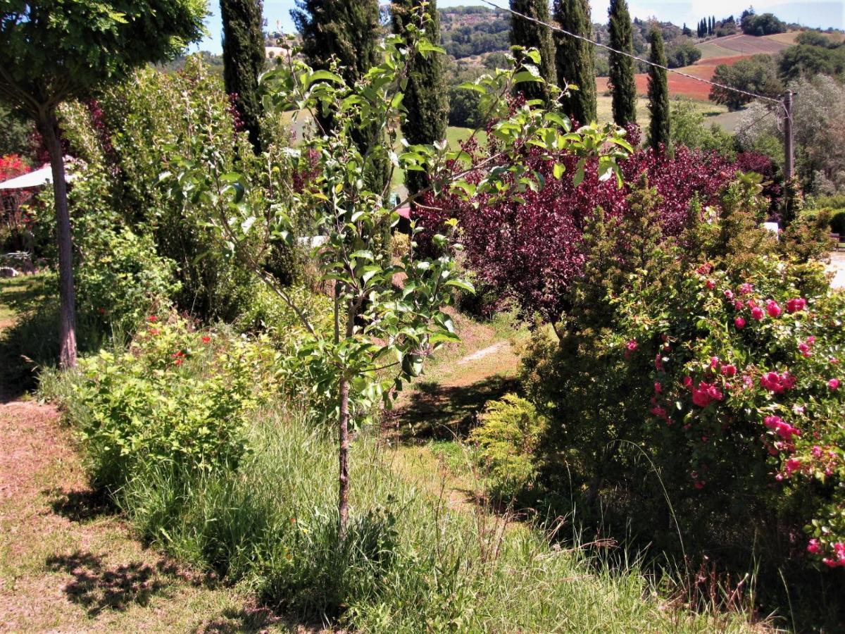 La Pietra Rara B&B Montone  Extérieur photo