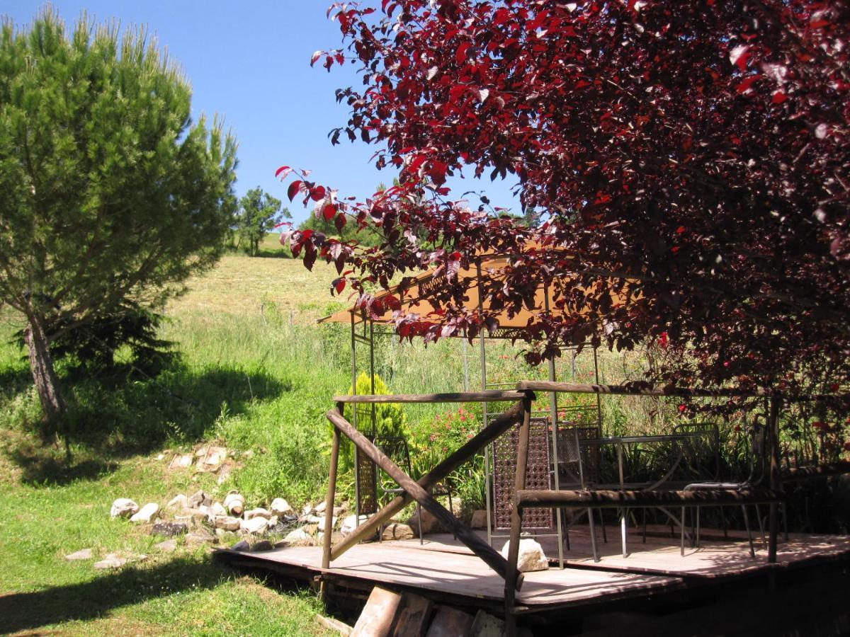 La Pietra Rara B&B Montone  Extérieur photo