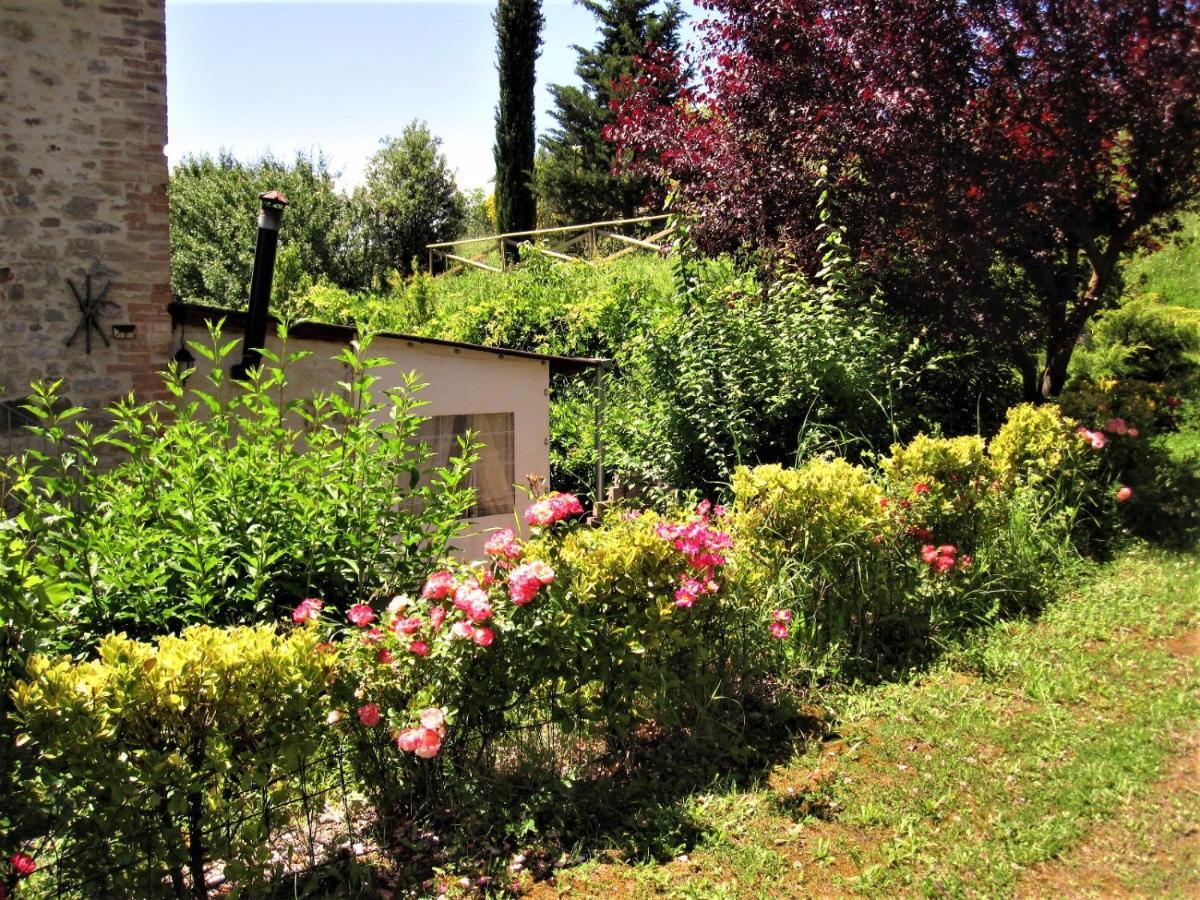 La Pietra Rara B&B Montone  Extérieur photo