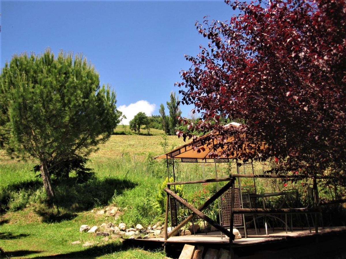 La Pietra Rara B&B Montone  Extérieur photo