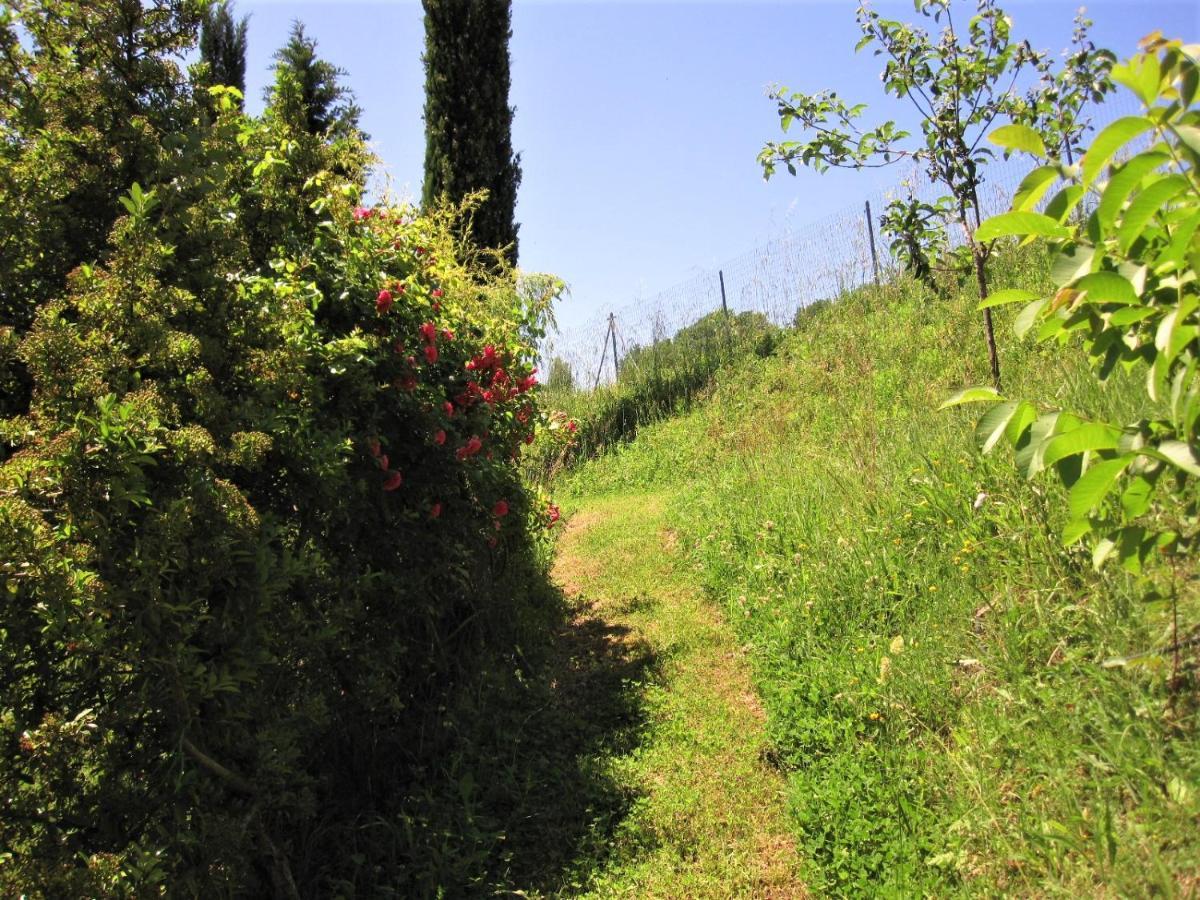 La Pietra Rara B&B Montone  Extérieur photo