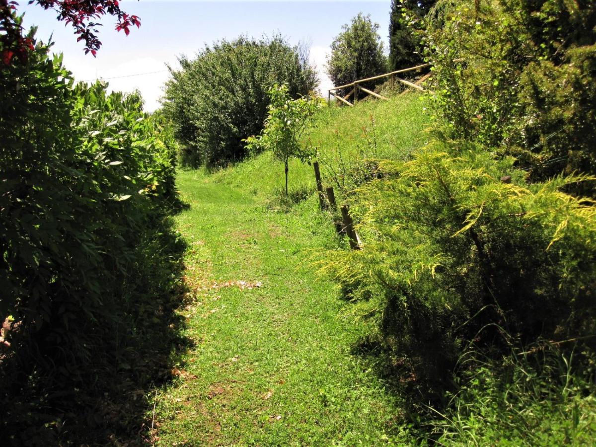 La Pietra Rara B&B Montone  Extérieur photo