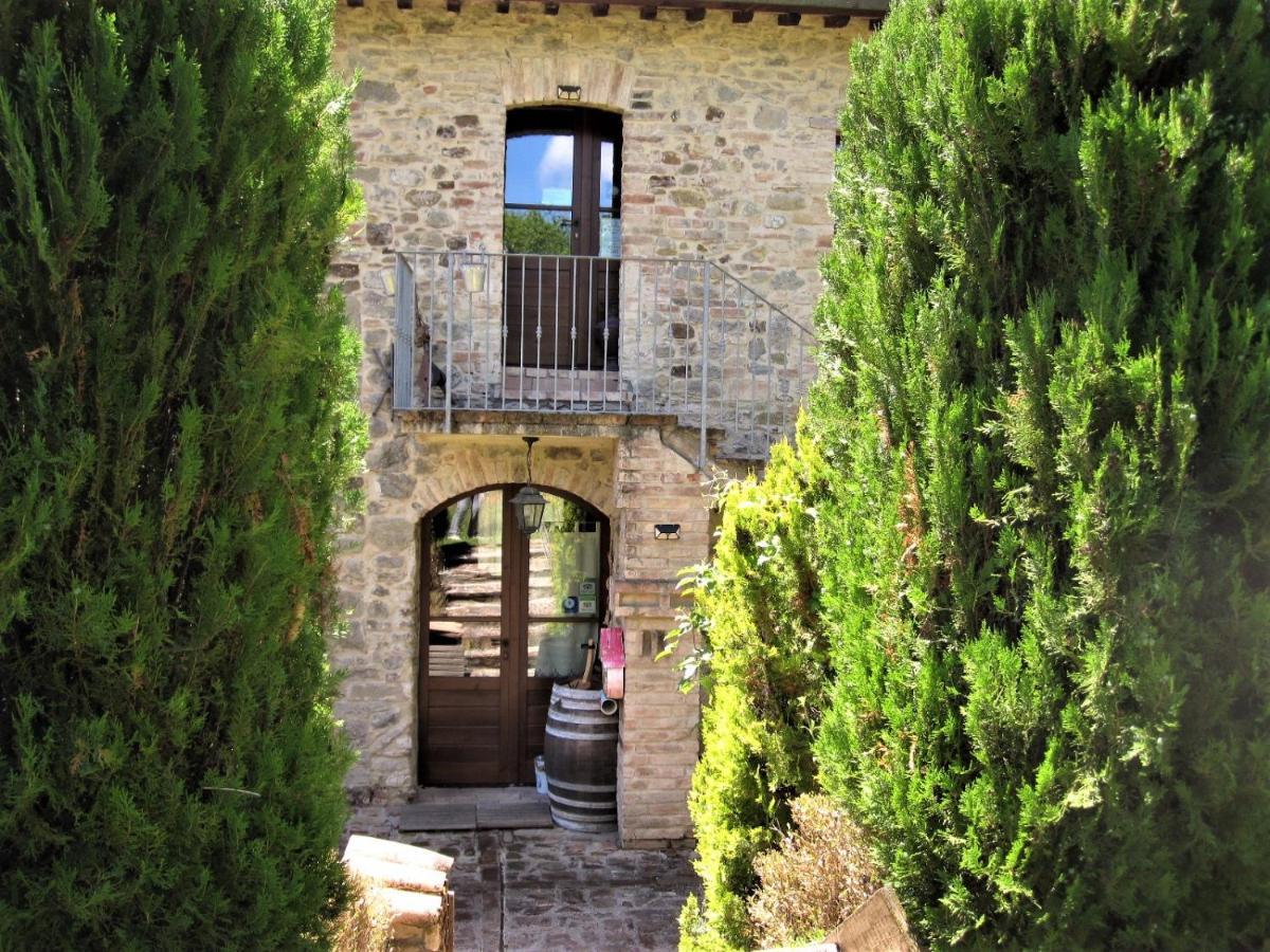 La Pietra Rara B&B Montone  Extérieur photo